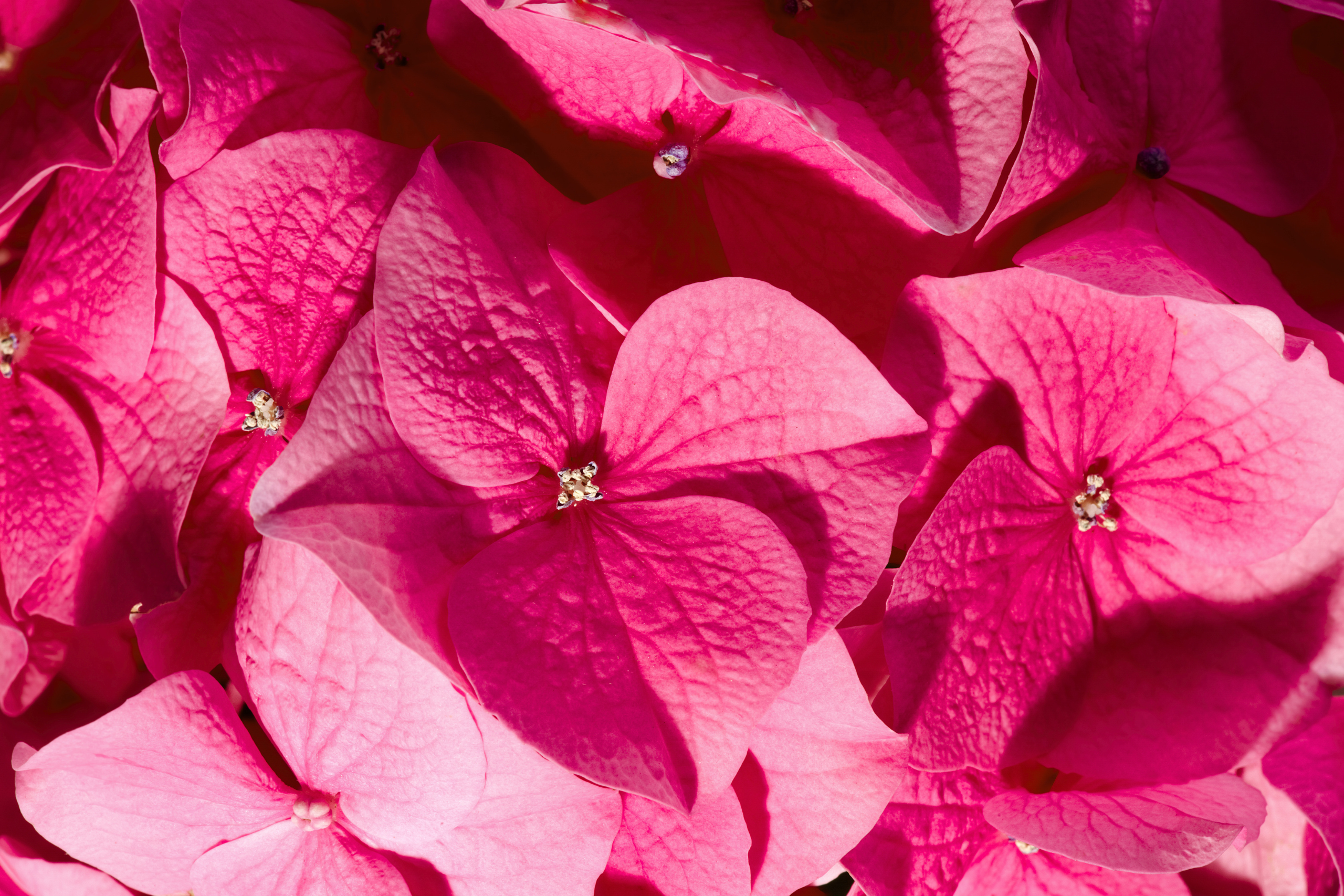 July |  The Mood Boost Edit